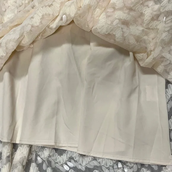 Ivy City Lined Fancy Beige Dress NWT, size 5X - Picture 5 of 5